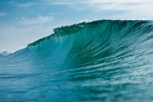 istock Ideal glassy wave in Atlantic ocean. Turquoise wave in Santa Catarina 1364447020