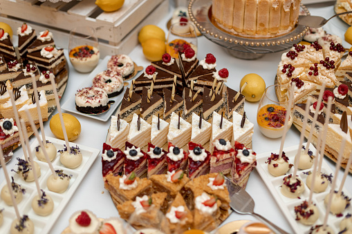 Different pieces of delicious cakes standing on tray surrounded by fruits and dessert canape on wedding catering