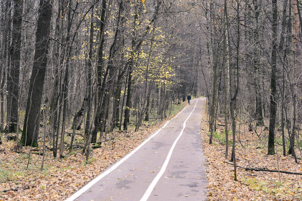 istock calm autumn park with fallen leaves on path way 1364451551