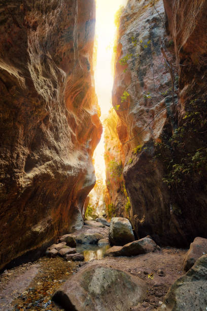 garganta de avakas en el oeste de chipre - paphos fotografías e imágenes de stock