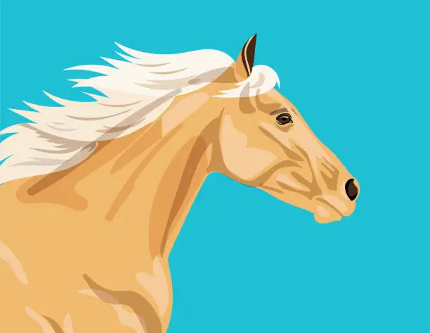 Vector illustration of Palomino Horse on Flat Color Background