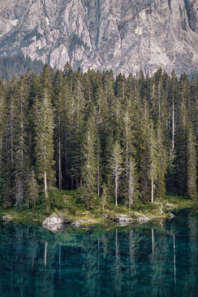 istock Lake Carezza in the Dolomites, Italy during Sunset 1364454769