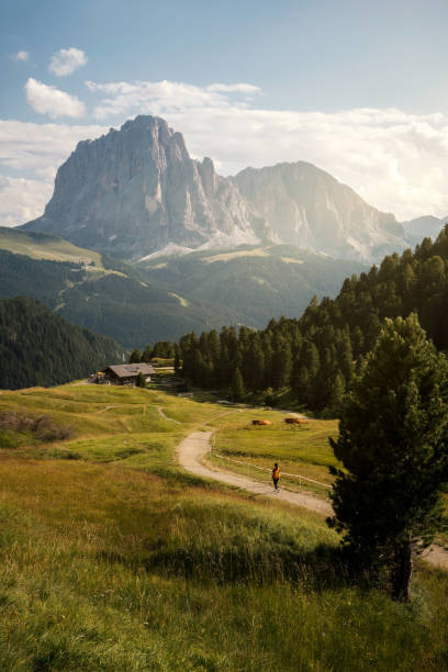 Alpe di Siusi (Seiser Alm) in the Dolomites in Italy during Sunset stock photo