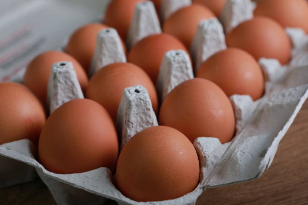 le uova sono racchiuse in una scatola di cartone - duck animal egg isolated bird foto e immagini stock