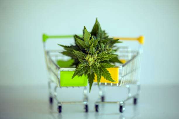 supermarket trolley marijuana medical cannabis  cbd stock photo