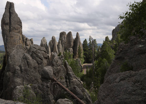 istock Typical rock formations along the Needles Highway, Black Hills, South Dakota 1364461377