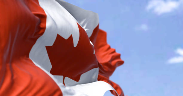 detailed close up of the national flag of canada waving in the wind - canada american flag canadian culture usa imagens e fotografias de stock
