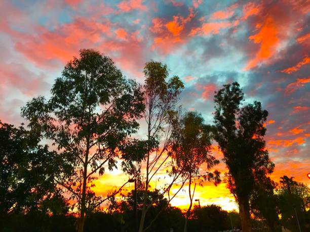 istock Red Skies at Morning 1364461499