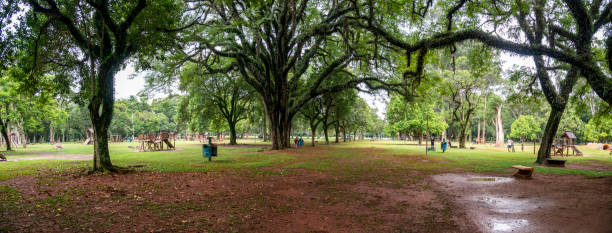 Ibirapuera Park Sao Paulo, Sao Paulo, January, 12, 2022, People enjoying the park at afternooon, practicing sports, running, skating, biking and other sports. ibirapuera park stock pictures, royalty-free photos & images