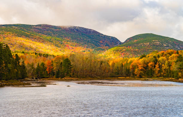 istock beautiful sun lit autumn foliage on hills 1364466297