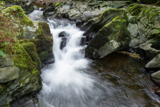 istock Watersmeet in Exmoor National Park 1364469992