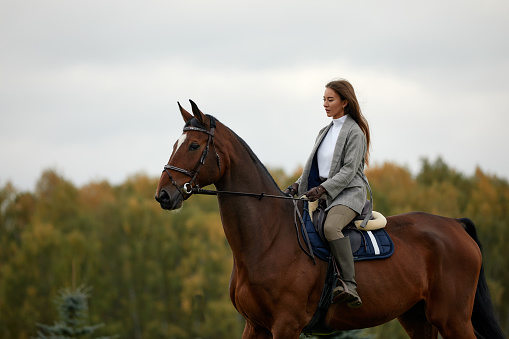 Beautiful young woman riding a horse on the field. Sideways to the camera. Freedom, joy, movement.