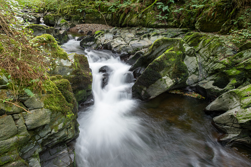 Long exposure of a waterfall on the East Lyn river flowing through the woods at Watersmeet in Exmoor National Park