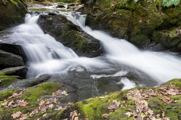 istock Watersmeet in Exmoor National Park 1364473298