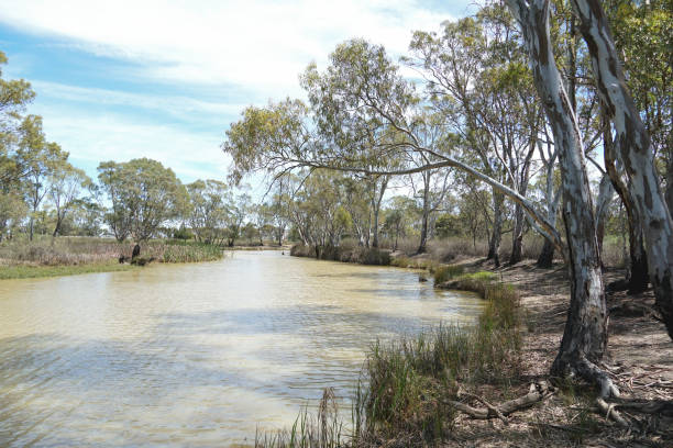 istock Kerang, Victoria, Australia 1364477493