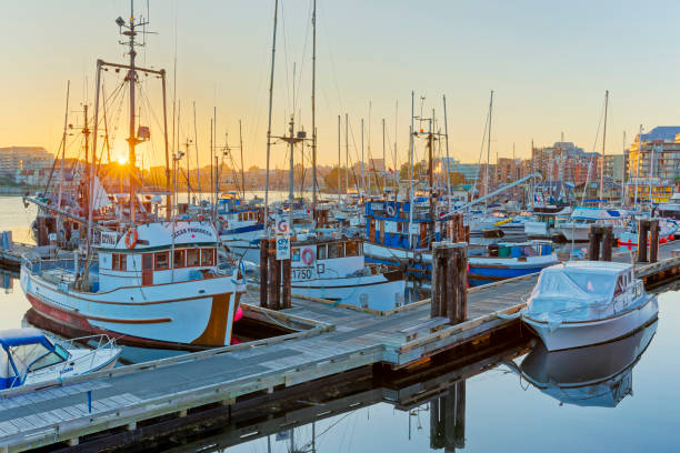 istock Victoria, Vancouver Island 1364479488