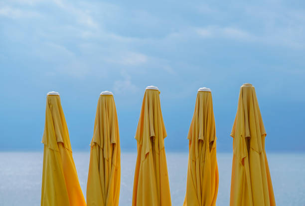 Yellow beach umbrellas stand in a row on the beach