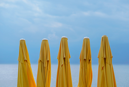 Yellow beach umbrellas stand in a row on the beach