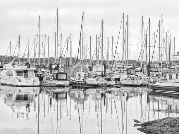 istock Victoria, Vancouver Island 1364479898
