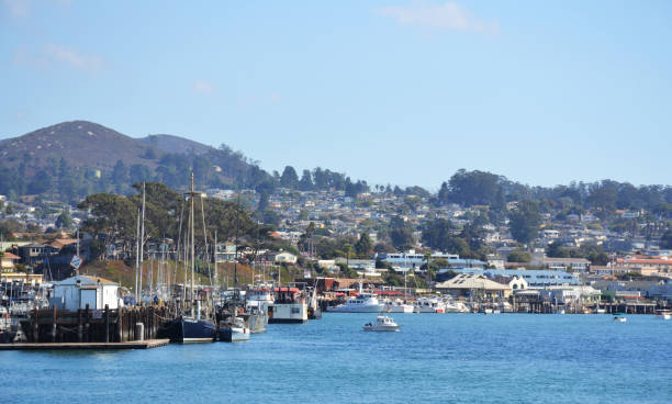 istock Morro Bay in California, USA 1364482056