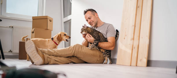 um homem com seus animais de estimação se mudando para um novo apartamento vazio - shelf drill drilling installing - fotografias e filmes do acervo