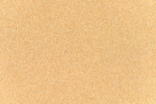 istock Texture of beach sand grains up close. 1364485704