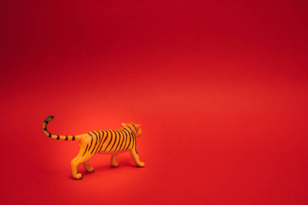 istock Tiger in a box.Chinese new year 2022 on red background. Copy space. 1364485755