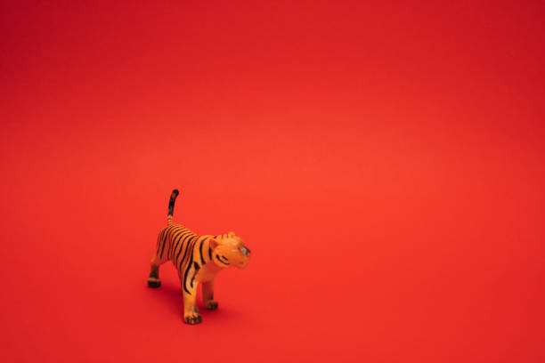 istock Tiger in a box.Chinese new year 2022 on red background. Copy space. 1364485758
