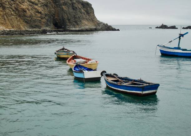 Floating in Peace Peaceful boats waiting for the next catch. rowing boat fishing stock pictures, royalty-free photos & images