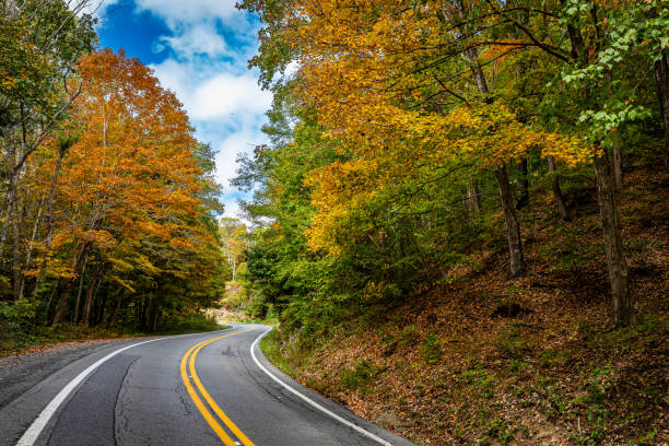 istock Winding Country Road in West Virginia 1364490908