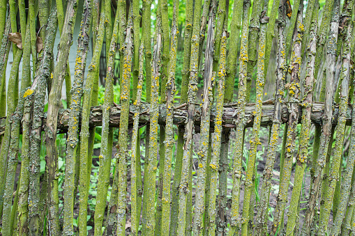 A handmade fence made of wooden sticks. The old traditional rural fence structure for background.