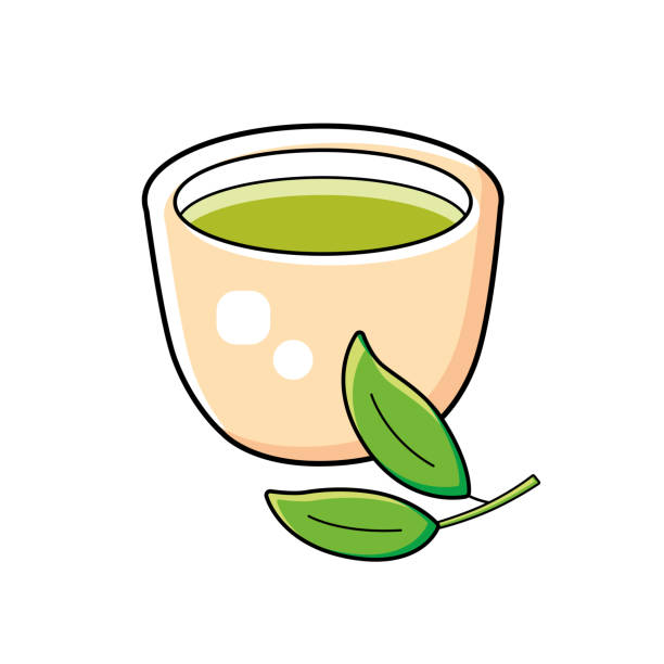 illustrazioni stock, clip art, cartoni animati e icone di tendenza di tazza di tè verde e ramo di tè con due foglie - tea cup tea green tea chinese tea