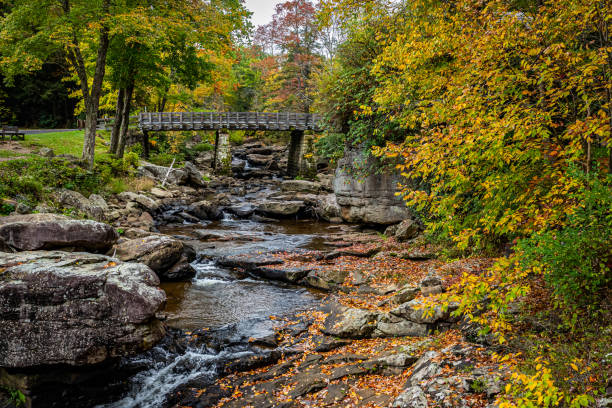 istock Glade Creek Grist Mill Babcock State Park West Virginia 1364492279
