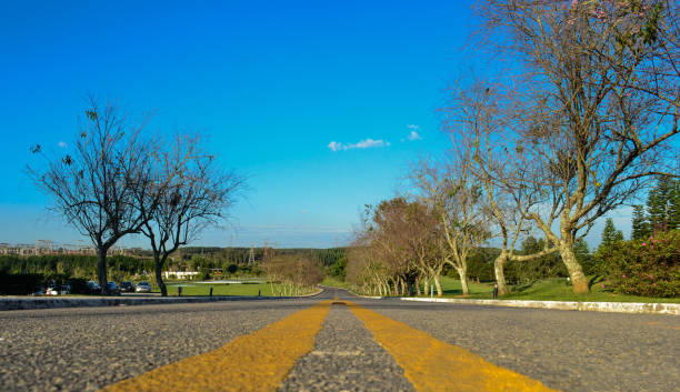 istock Asphalt road panorama in countryside on sunny autumn evening 1364493207