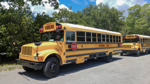 istock View of classic yellow American school buses in a row 1364493209