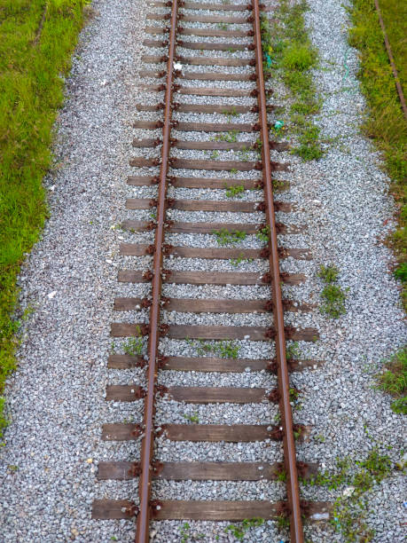 istock Railway line in countryside Train journey 1364493307
