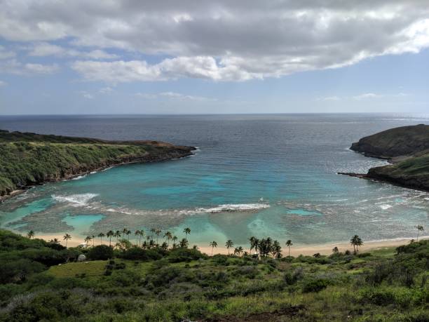 istock High-Angle View of Hanauma Bay and Beach 1364498329