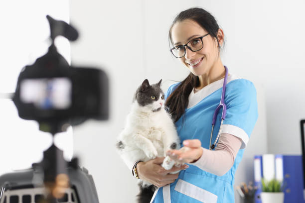 istock Female doctor present cute kitty on camera, petting him for video 1364501563