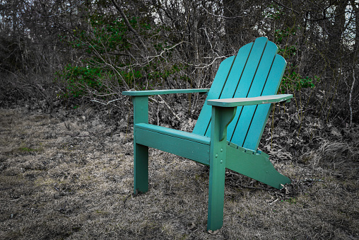 One wooden bench in the empty grass field in the public woodland on Cape Cod, Massachusetts