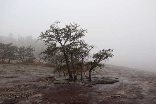 Wolf Rock Trail in Stone Mountain State Park, NC.