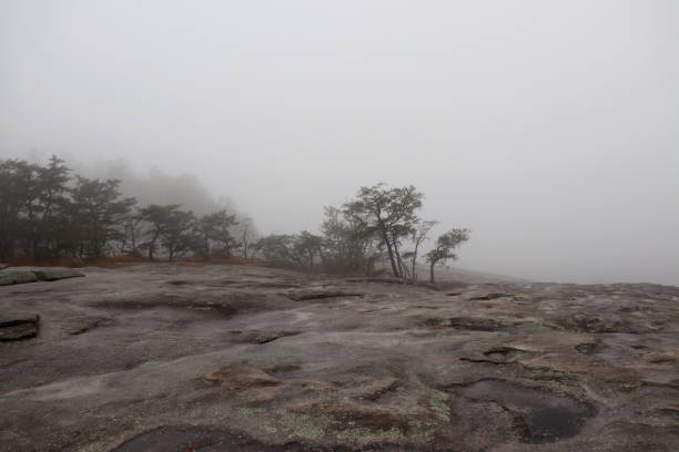 istock Wolf Rock Trail in Stone Mountain State Park, NC. 1364504666