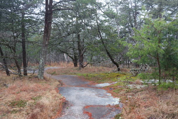 Wolf Rock Trail in Stone Mountain State Park, NC.