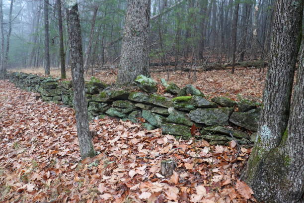 Wolf Rock Trail in Stone Mountain State Park, NC.