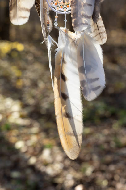 istock Handmade dream catcher with feathers threads and beads rope hanging 1364506926