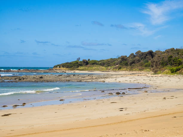 bassa marea - blanket bay - otway national park foto e immagini stock