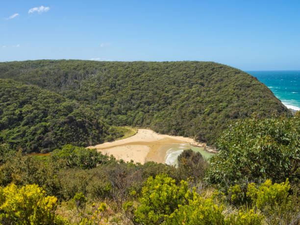 parker inlet - great ocean walk - otway national park imagens e fotografias de stock