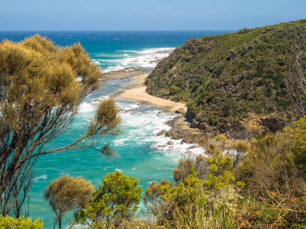 tra blanket bay e parker inlet - great ocean walk - otway national park foto e immagini stock