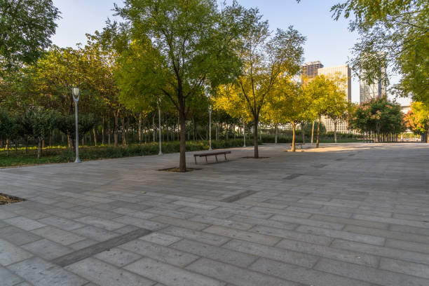 istock beautiful park at a sunny day, shanghai, china 1364514212