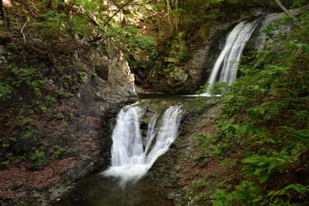 istock Beautiful waterfall in a green forest 1364514232