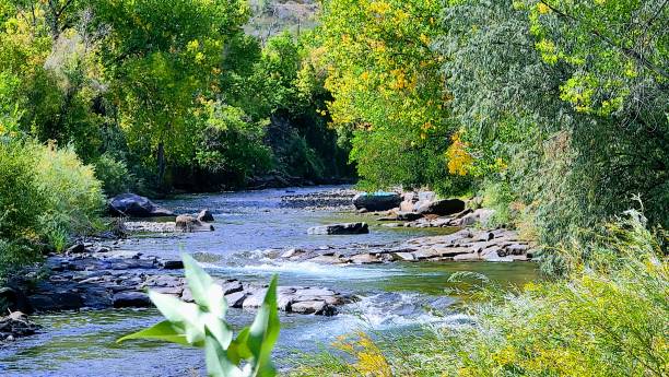 istock Clear Creek, Golden, Colorado 1364515917